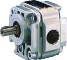 Bosch Rexroth Hydraulics PGF1-2X/1,7RL01VM R900086165